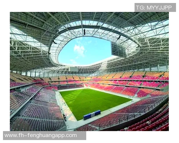 重庆铜梁龙明年主场将落户龙兴足球场正式确定